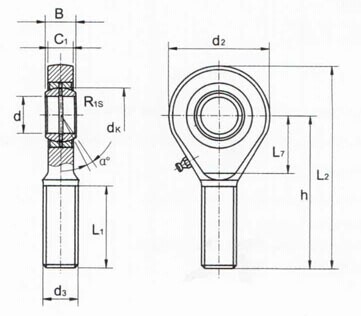 Конец SA. .ES 2RS штанги, конец SA6E Китая штанги, SA8E, SA10E, SA12E, SA15ES, SA17ES, SA20ES
