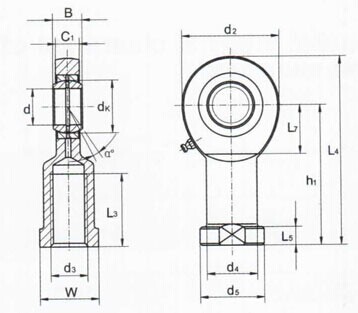 Конец SI. .ES 2RS штанги, конец SI6E* Китая штанги, SI8E*, SI10E*, SI12E*, SI15E*, SI17E*, SI20E*